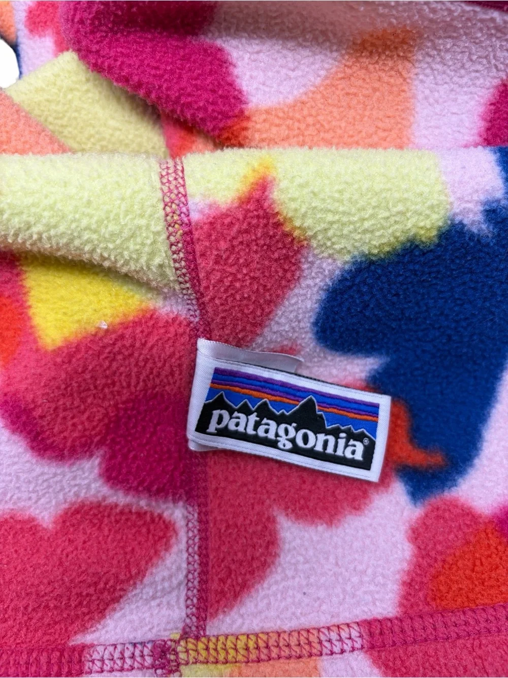 Patagonia Butterfly Print Synchilla Fleece Jacket Hood Size 5T Toddler Full Zip